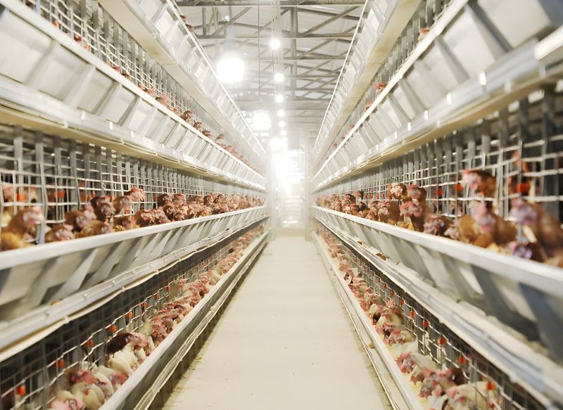 The importance of aquaculture equipment on temperature